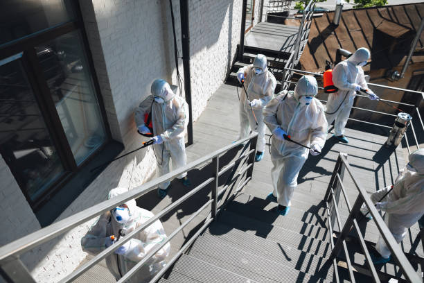 Richfield, UT Mold Removal Company