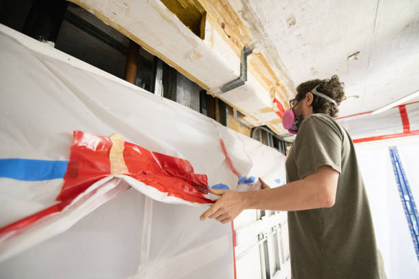 Best Black Mold Removal  in Richfield, UT
