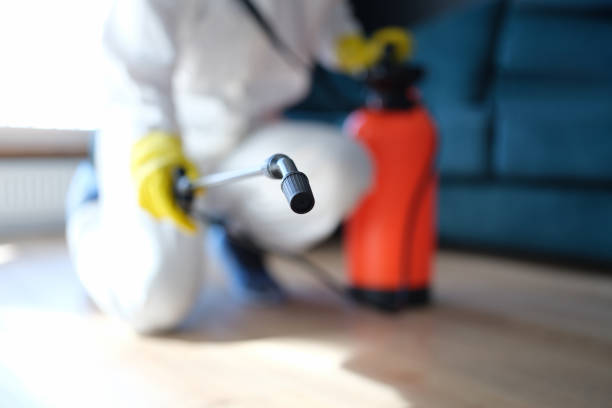 Best Post-Remediation Verification Testing  in Richfield, UT
