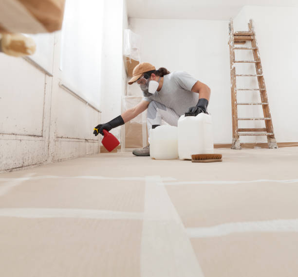 Best Airborne Mold Testing  in Richfield, UT